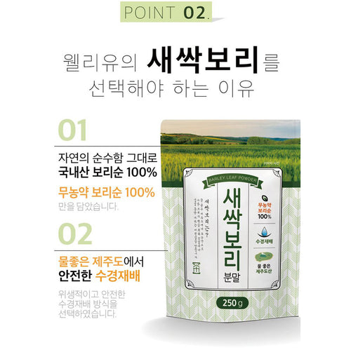 [강원도] 맛있는 습관 새싹보리 분말 250g (무농약 보리순 100%)